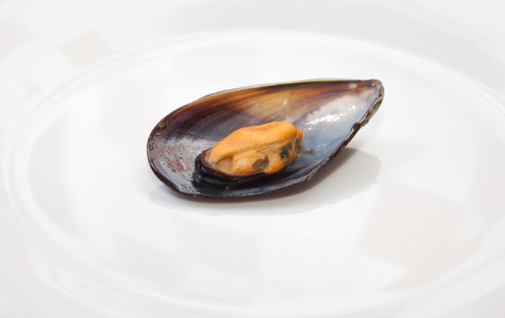 Detail view of mussel boiled