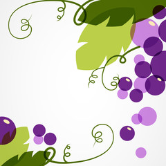 Branch of grape with leaves. Abstract vector background design t