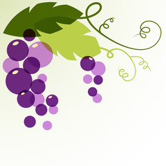 Branch of grape with leaves. Abstract vector background design t
