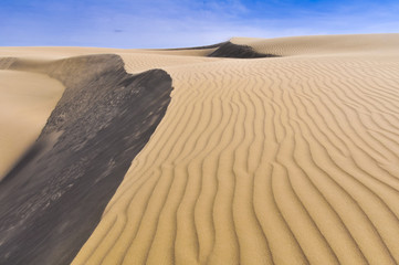 Oceano Dunes Natural Preserve, California (USA)