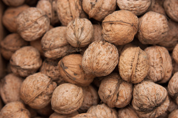 a lot walnut in box  wallpaper