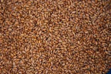 Foto op Canvas Wheat grains wallpaper in box © 445017