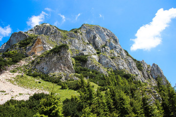 Mountain panorama with big stones and path near pine forest