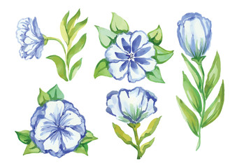 watercolor flowers in different styles