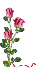 Obraz premium Red roses on white background