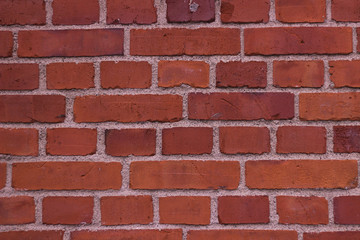 Fototapeta premium Bricks vintage Background