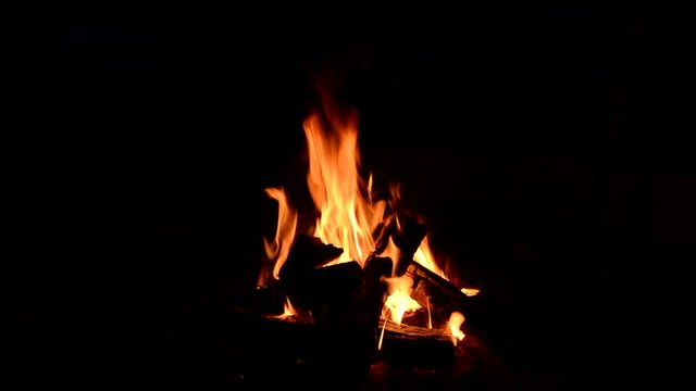 Bonfire, Campfire in the night.