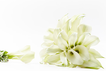 Fototapeta premium Bouquet