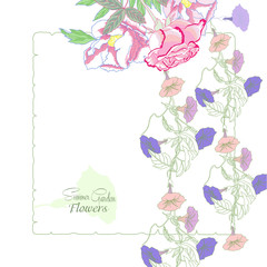 Background with  bindweed and flowers-05