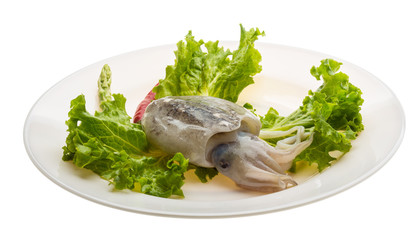 Raw cuttlefish
