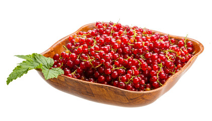 Red currant