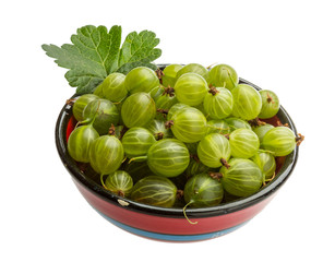 Gooseberry