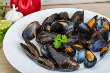 Mussels