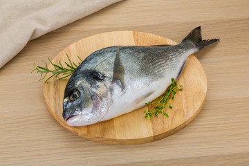 Raw dorado
