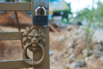 Metall lion head and lock