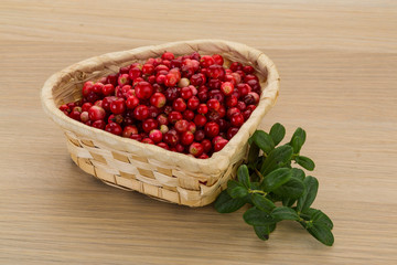 Cowberry