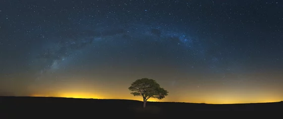 Fotobehang Star scape met eenzaam boom bruin gras en Melkweg en zachte lig © Alta Oosthuizen