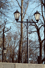 Fototapeta na wymiar Retro styled decorative lanterns park with threes without leaves