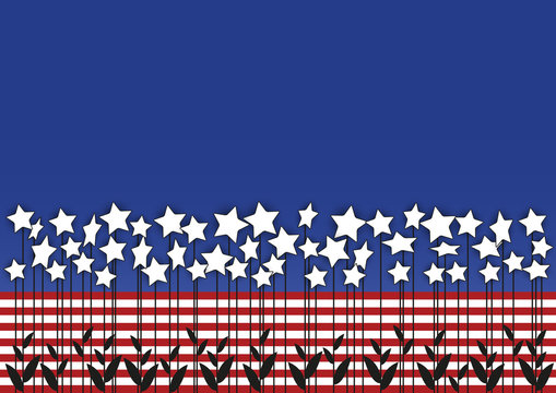 star flowers combined with USA flag colors