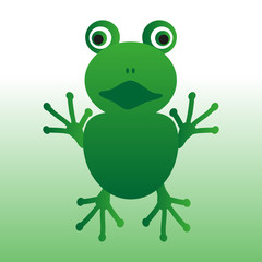 isolated green frog animal looks at you eps10