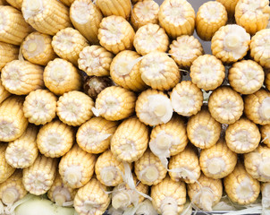 Piles of sweet corn, material for cornstarch
