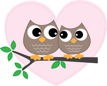 two sweet owls in love