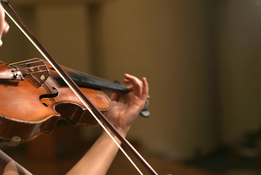 Violinist