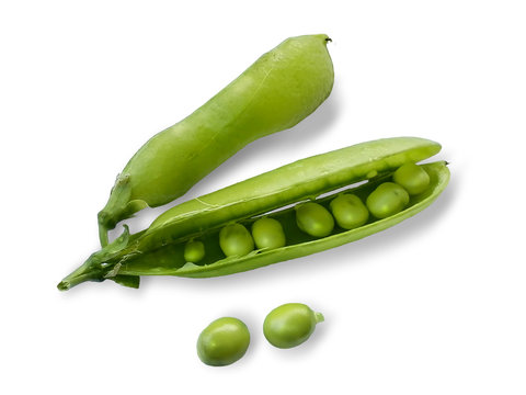 Arveja verde
