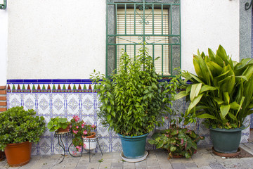 Fototapeta na wymiar Street in Almunecar - Andalusia, Spain