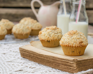 Chocolate chip muffins with coconut streusel