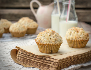 Chocolate chip muffins with coconut streusel