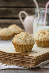 Chocolate chip muffins with coconut streusel