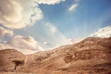 Desert landscape. Negev desert in Israel.