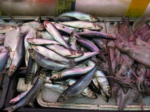 Mackerel and Squid for sale at Asian fish market