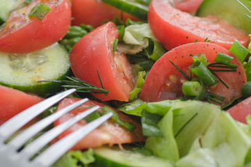 Vegetable salad and fork