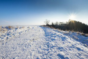 Winter landscape on a sunny day