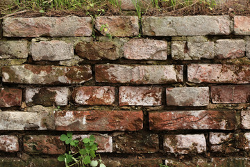 Old Wall Texture