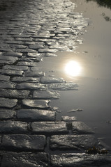 cobblestone street and puddle