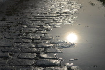 cobblestone street and puddle