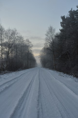 Snowy road to forest