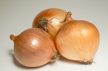 onion