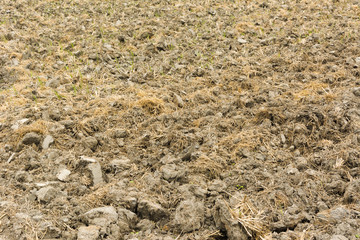 after harvest