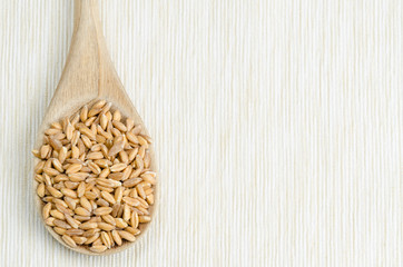 spelt with spoon on table cloth, close up