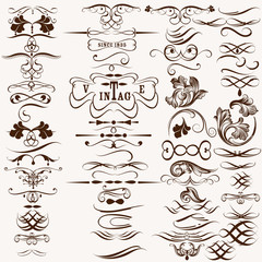 Collection of vintage decorative calligraphic flourishes