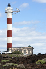 Fototapeta na wymiar Leuchtturm am Punta Abona