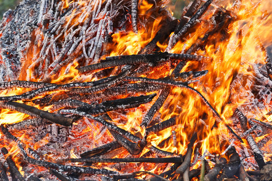 Wood burning flame background