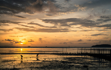 Fototapeta na wymiar Dawn at the seaside when low tide