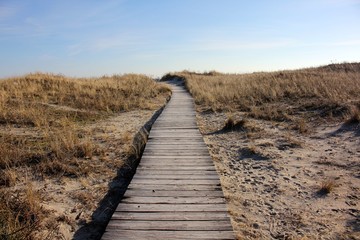 Beach Boardwalk in Winter