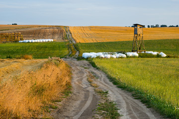 Krajobraz wiejski, stanowisko mysliwskie , ambona © janmiko