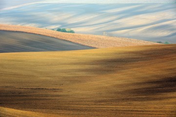 Morawy, krajobraz wiejski, uprawa pól © janmiko